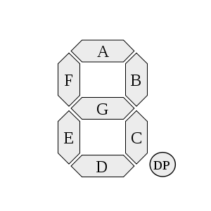segments