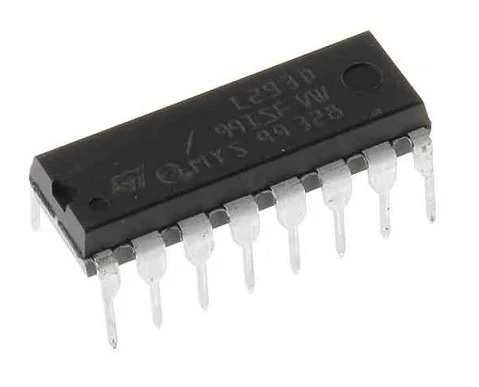 chip